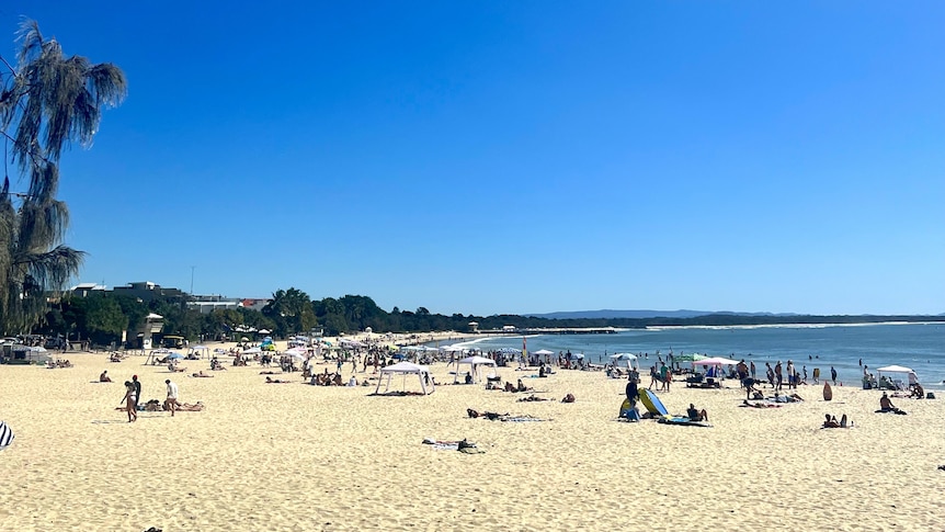 People enjoying the beach at Noosa on a sunny day