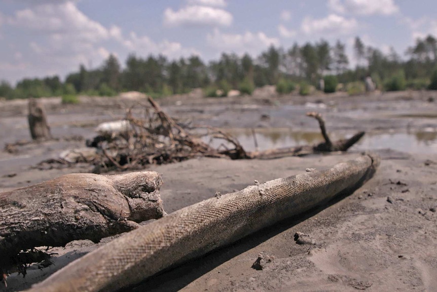 A discarded hose sits on the muddy ground.