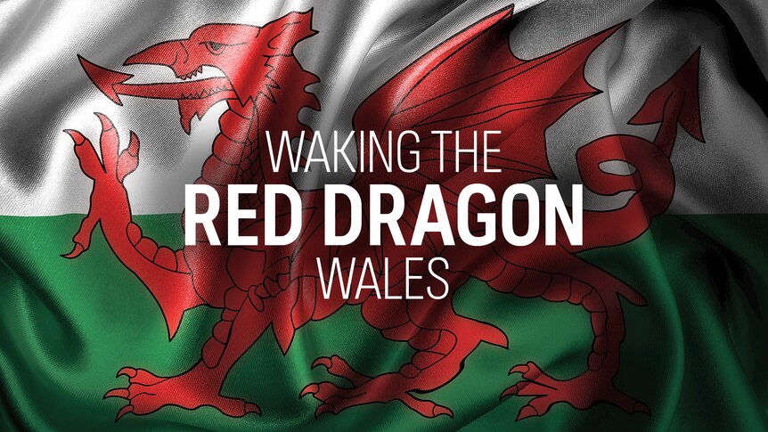 Walking Red Dragon - Wales ABC Content Sales