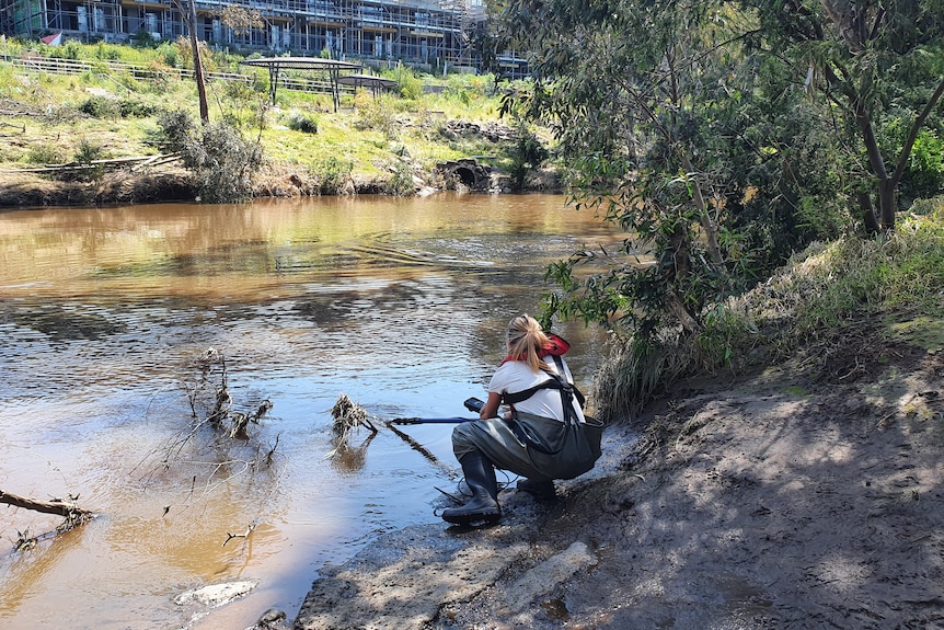 a lady collects water samples from a river.