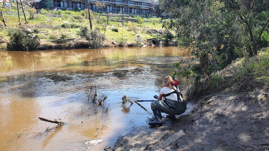 a lady collects water samples from a river.