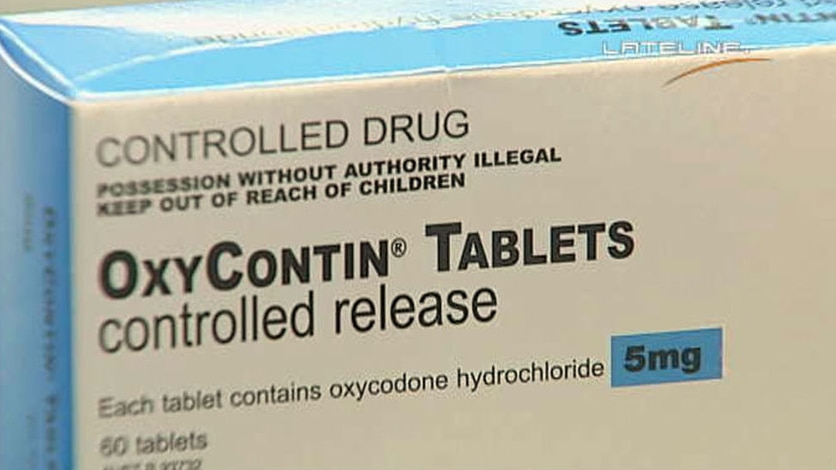 There are concerns that deaths from the painkiller oxycodone could outweigh those from both heroin and cocaine