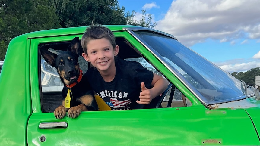 Eight-year-old Tommy Lee trains and sells working dog to fund Holden ute  restoration - ABC News