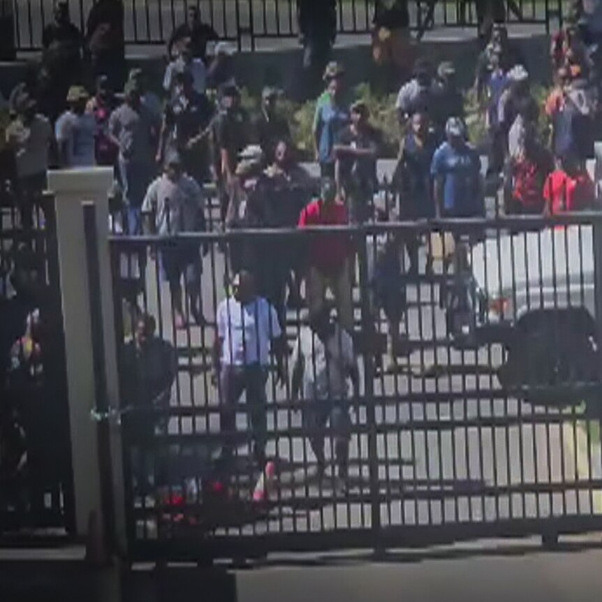 A crowd gathers outside a gate while several people try to break through the gate