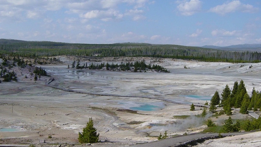 Norris Geyser Basin in Yellowstone National Park