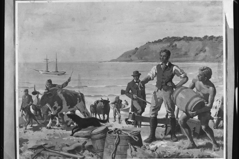 An illustration of Edward Henty and other settlers with large barrels, guns and livestock on a beach.