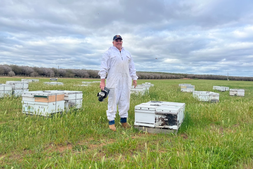 A beekeeper stand in a field surrounded by beehives.