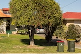 Two wheelie bins outside a house in Perth.