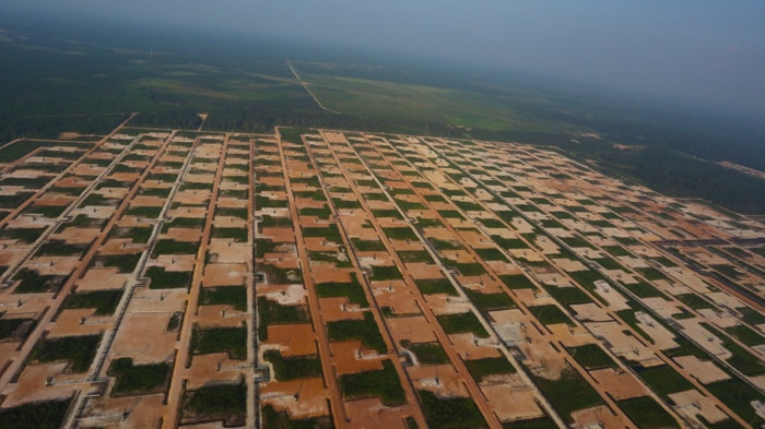 Oil and gas field in Riau