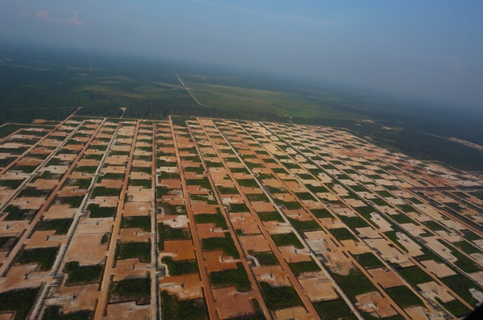 An aerial photo of an oil and gas field in Indonesia.