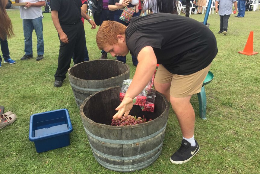 A boy participates in activities at the Moonah Taste of the World Festival