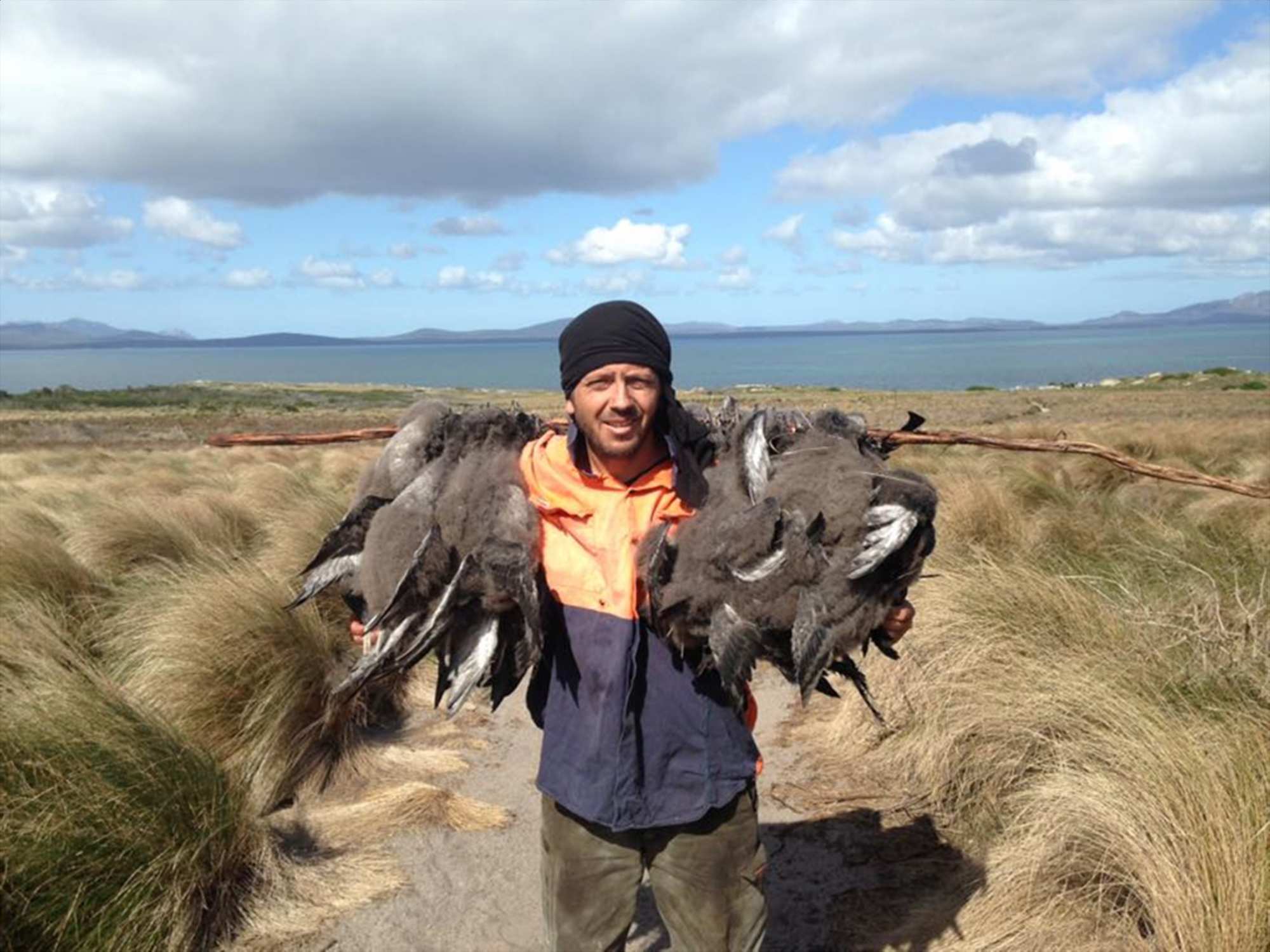 Playwright Nathan Maynard mutton birding