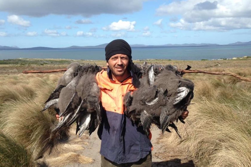 Playwright Nathan Maynard mutton birding