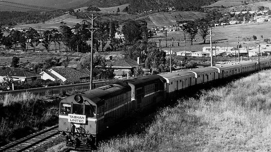 A Tasman Limited train winds through houses with kunanyi / Mount Wellington in the background