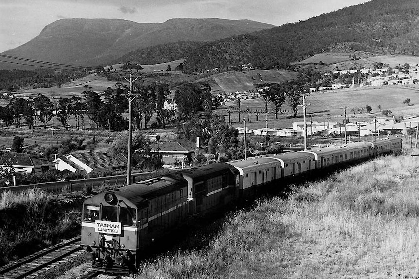 A Tasman Limited train winds through houses with kunanyi / Mount Wellington in the background