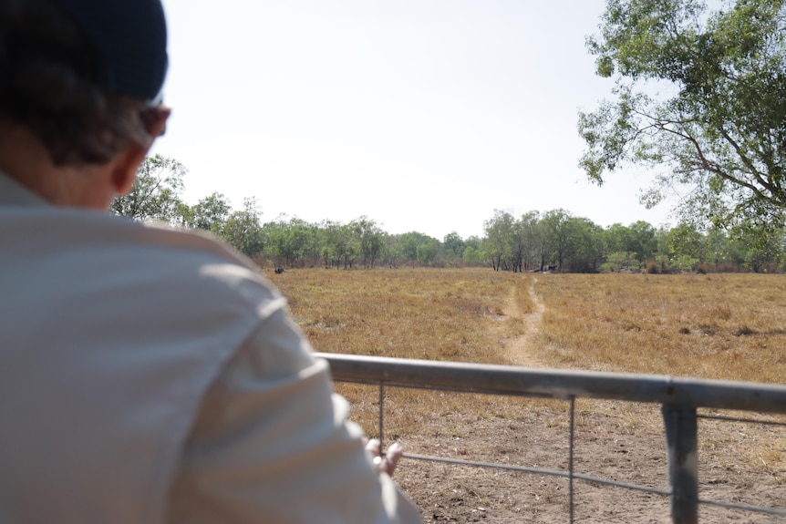 The out-of-focus back of someone's head, as he looks out over a dry paddock over a fence