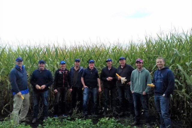 A group of men stand in a field, the crop towering high above their heads.