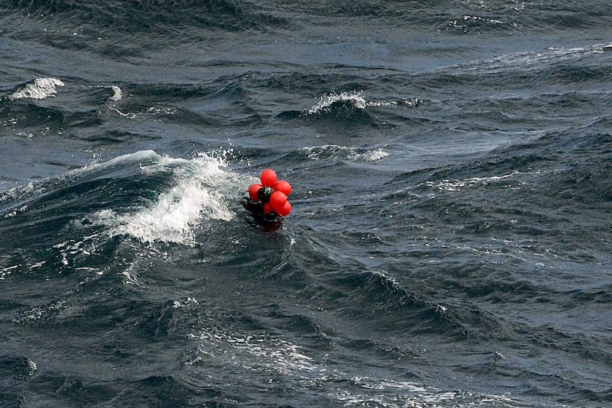 A bunch of red and black balloons floating in the ocean.