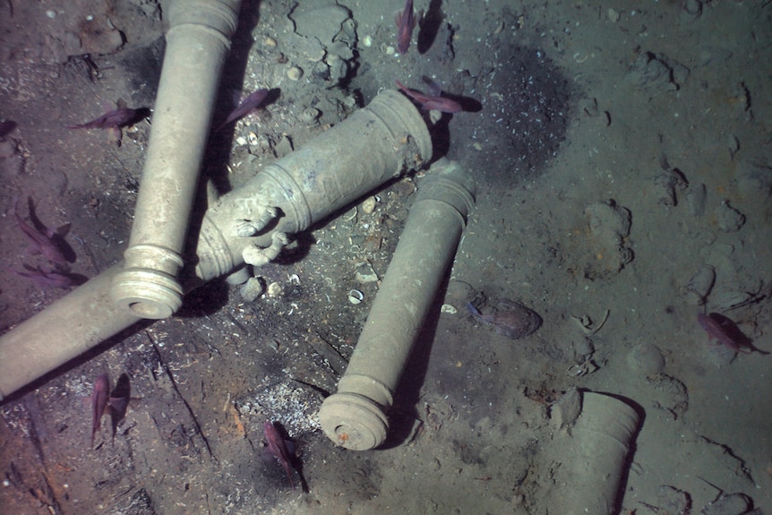 Cannons from the 300-year-old shipwreck of the Spanish galleon San Jose