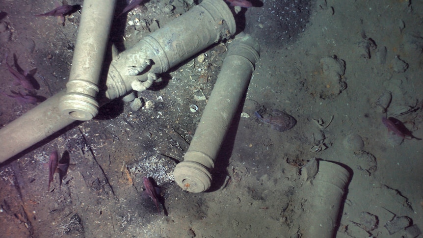 Cannons from the 300-year-old shipwreck of the Spanish galleon San Jose