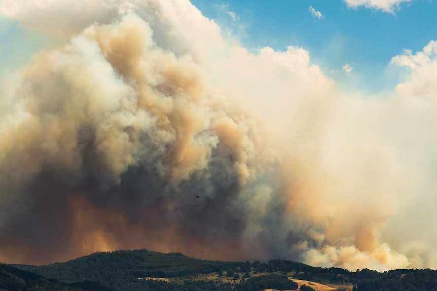 Fire cloud and water bomber over Glen Huon, larger