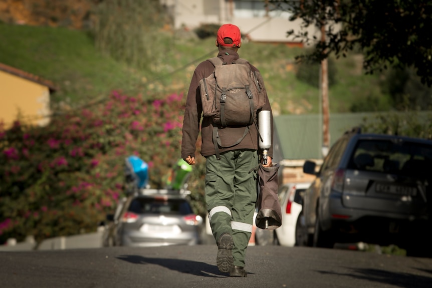 A government-contracted ranger baboon ranger walks up a residential street in Simonstown carrying a paintball gun.