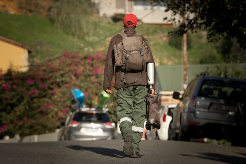 A government-contracted ranger baboon ranger walks up a residential street in Simonstown carrying a paintball gun.