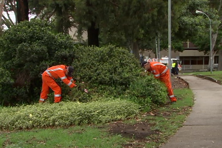 Two men in orange SES uniforms look in a bush outside an apartment complex.