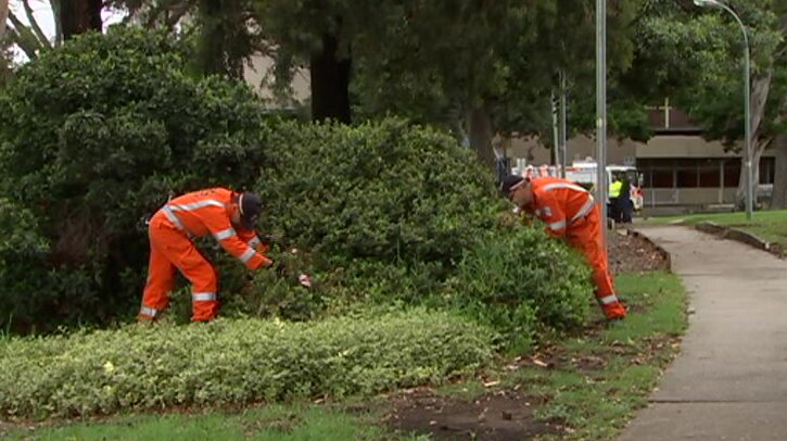 Two men in orange SES uniforms look in a bush outside an apartment complex.