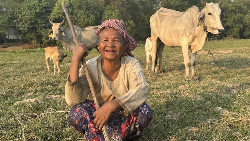 Les téléspectateurs des lignes fixes font un don de 200 000 $ à l’association caritative Cows for Cambodge pour sortir les familles de la pauvreté