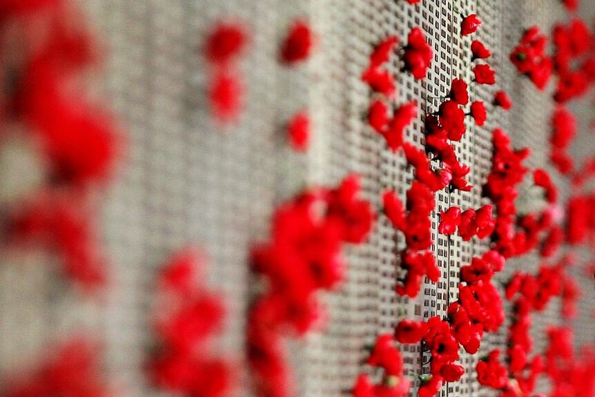 A man places a poppy on the Roll of Honour for World War I at the Australian War Memorial (Getty Images: Mark Nolan)