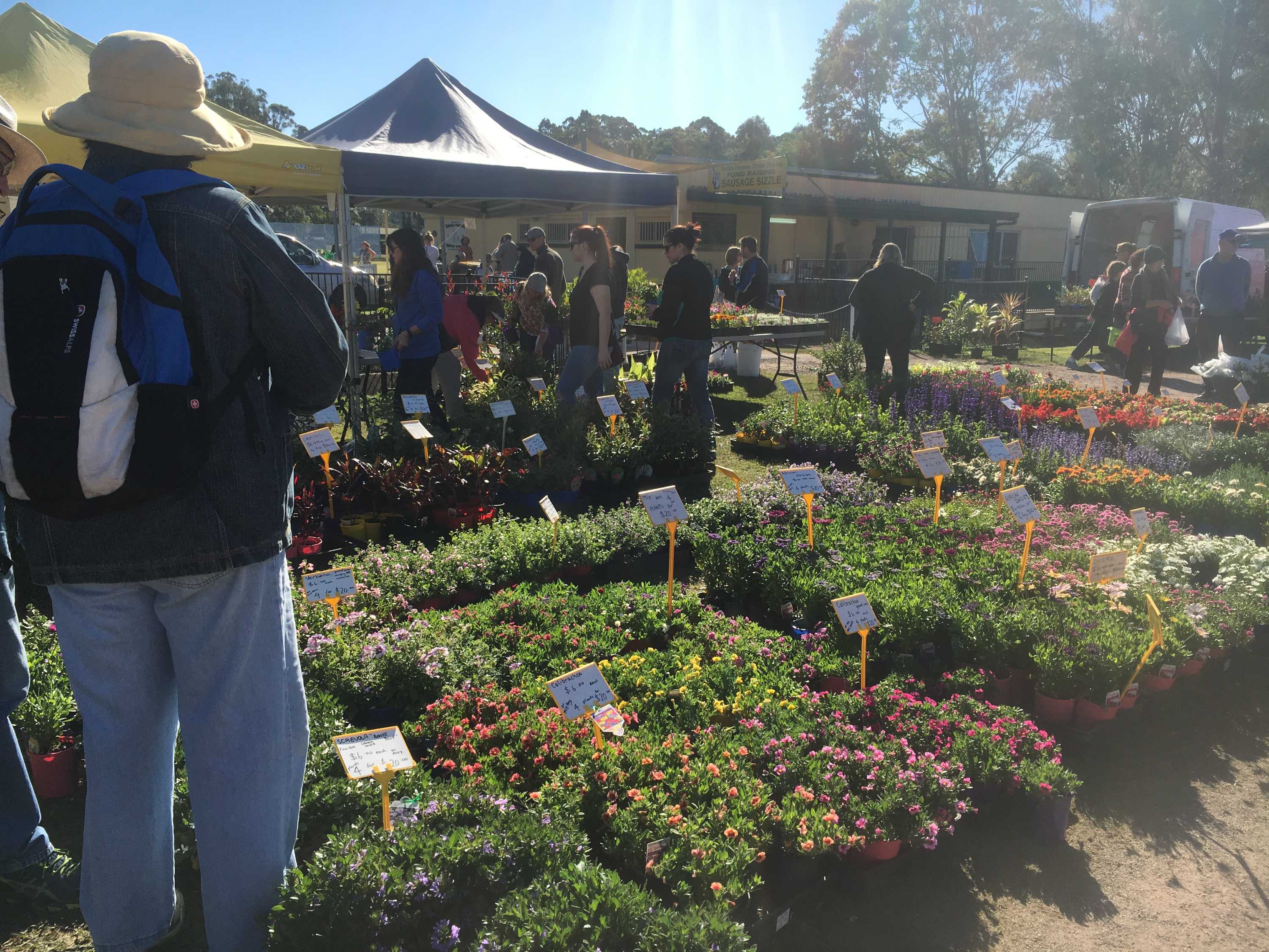 Wholesale Nursery Industry Faces Challenging Times As Customers Give Retail Nurseries A Miss Abc News