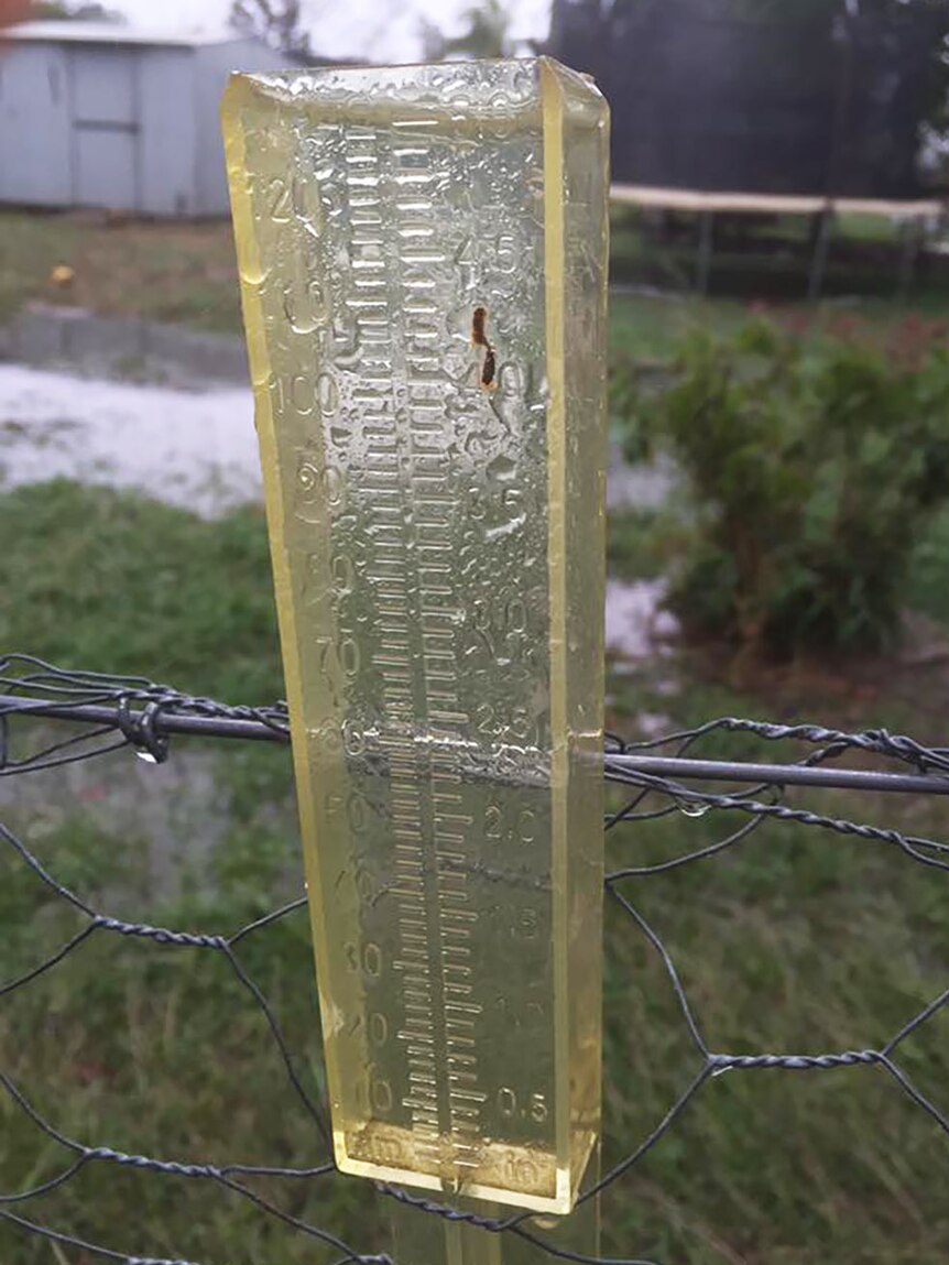 A full rain gauge in a Rockhampton backyard