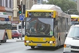 Adelaide bus