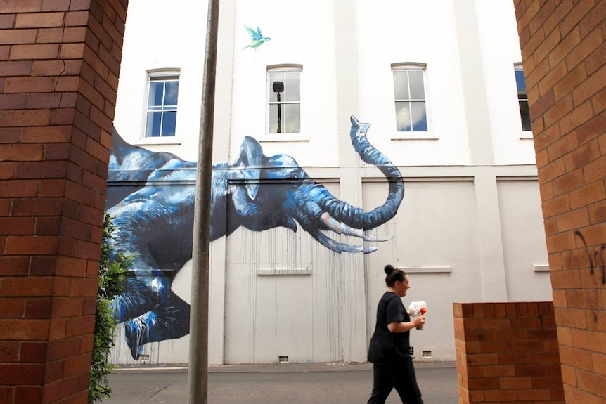 Street art of an elephant on a two-storey white building.