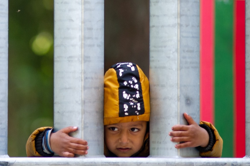A little boy with a yellow puffer jacket pushes his face through the border fence. 