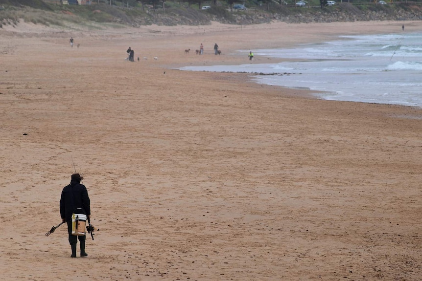 Fisherman often become great bait for sandflies.