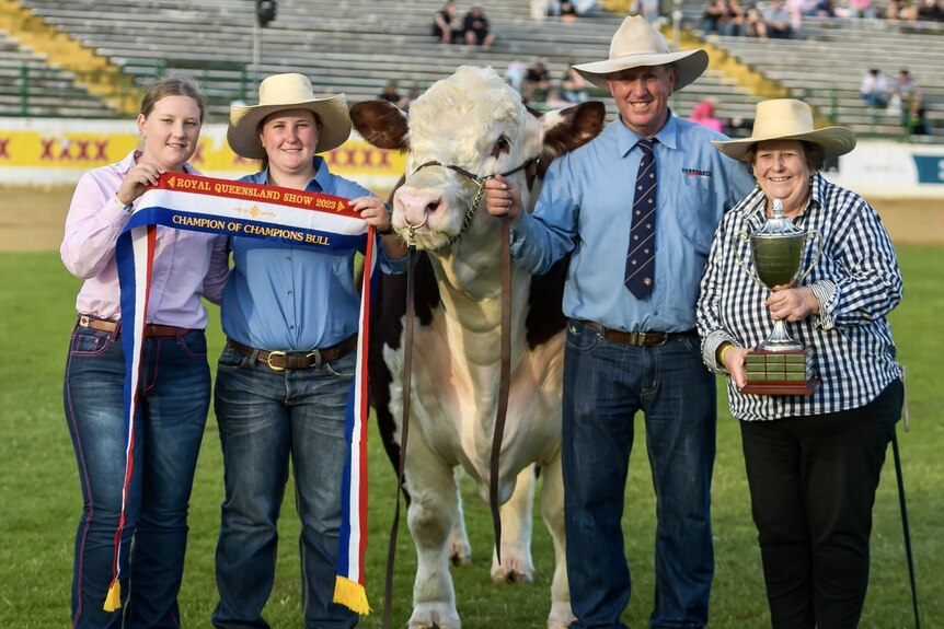 A well-groomed white-and-brown cow, two girls and a man and a woman stands proudly holding a trophy and a winner's ribbon.