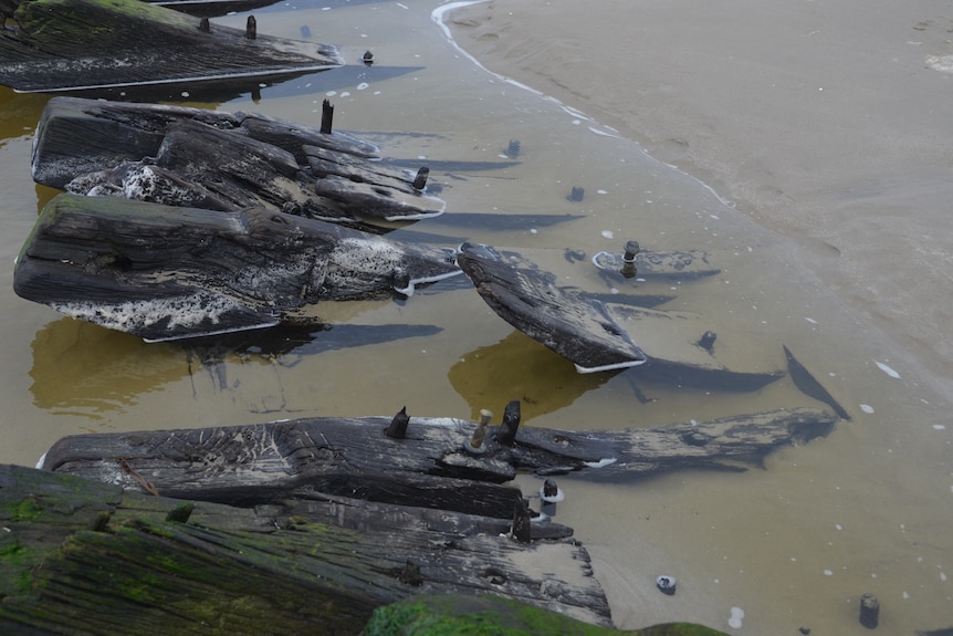 large wooden planks with nails stick out of ocean water on edge of beach some are covered in moss 