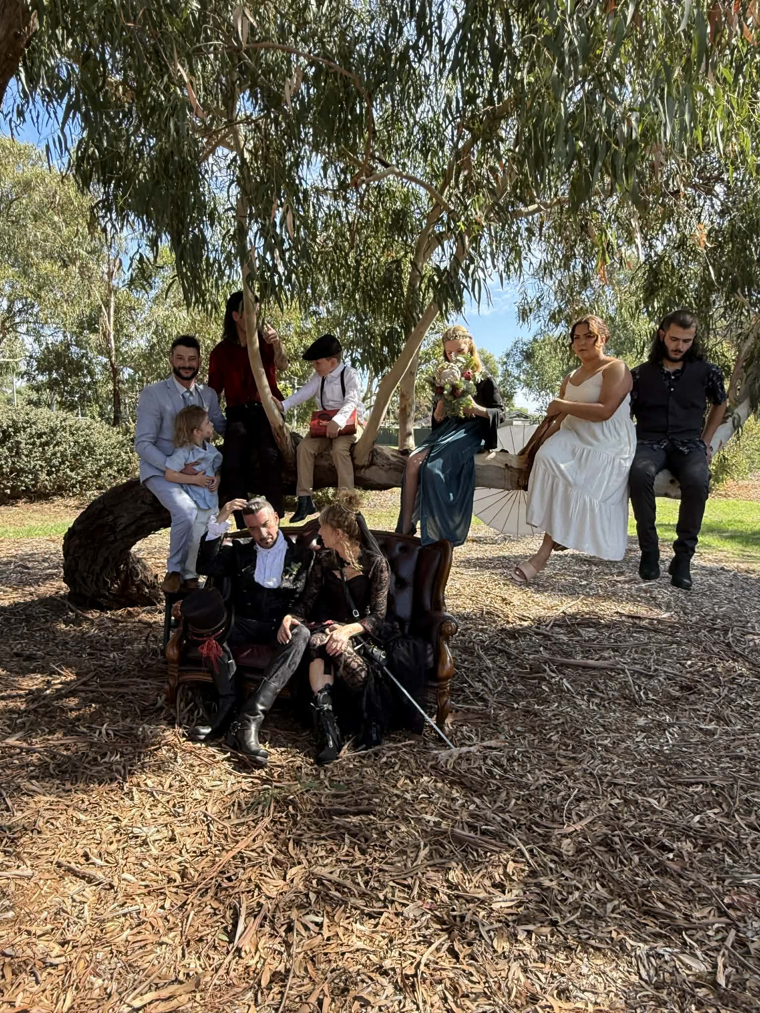 A bride and group sit on a chair in front of a tree with a group of people in formal clothes sitting on it.