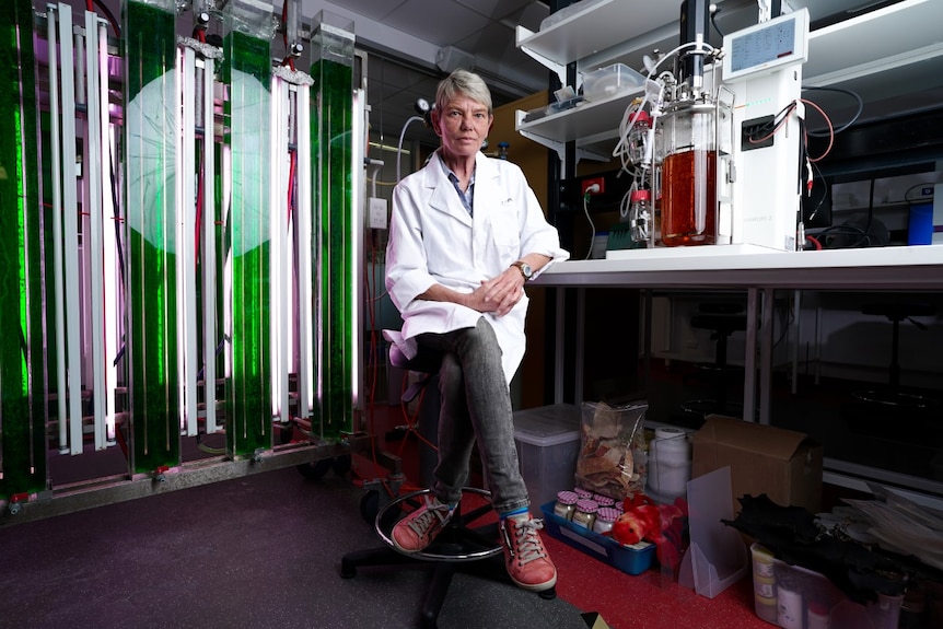 A university researcher sits at a desk in a lab wearing a white coat