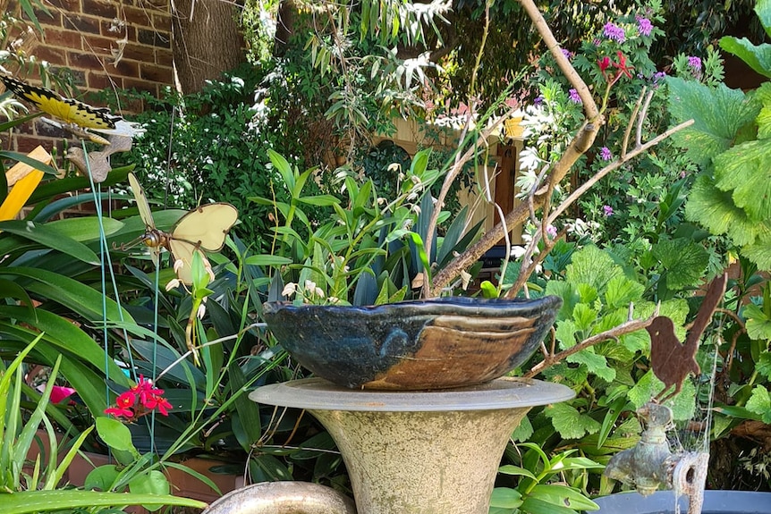 a garden birdbath made from a tuba