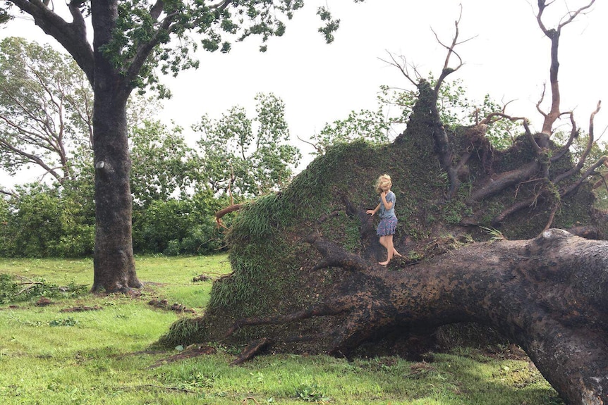 Amara Gibson climbs on an uprooted tree.
