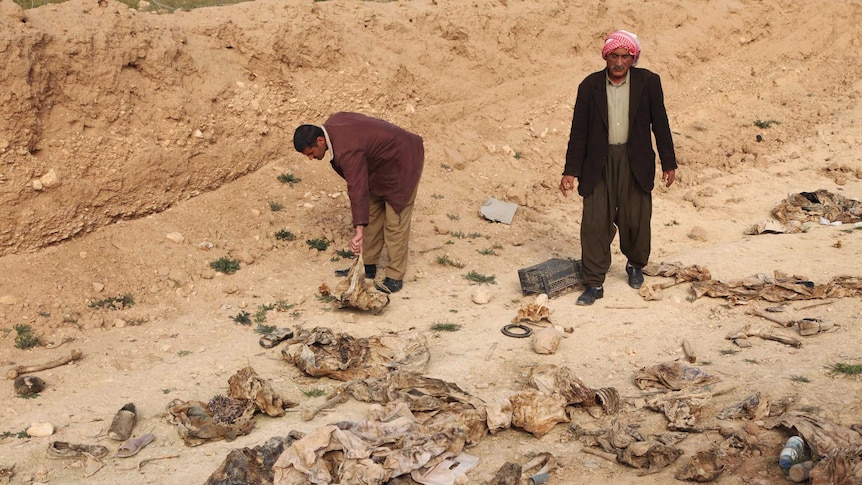 Mass grave uncovered near Sinjar in northern Iraq