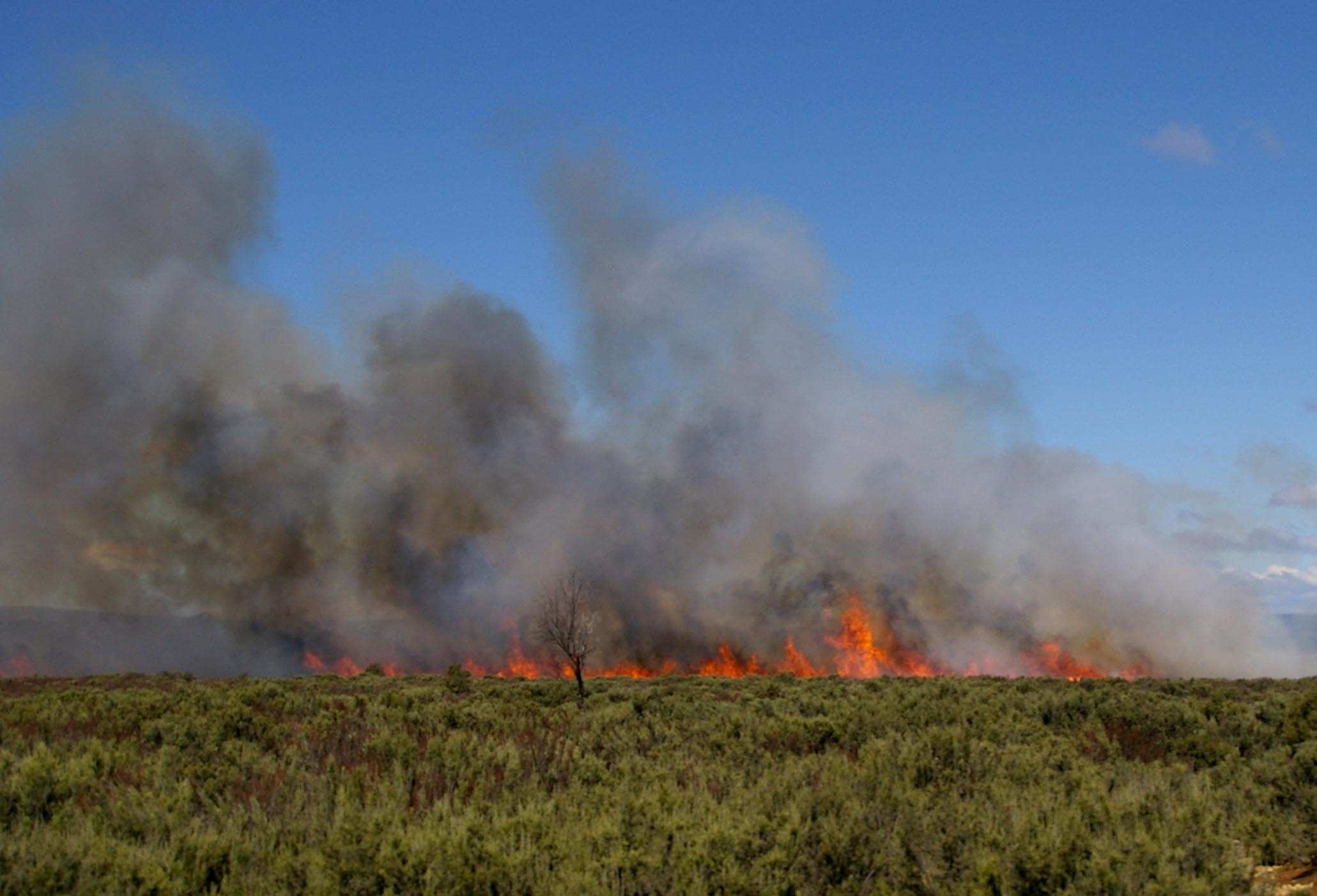 Stormforce winds buffet southern Tasmania ABC News