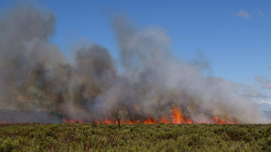 A bushfire burns during high winds.