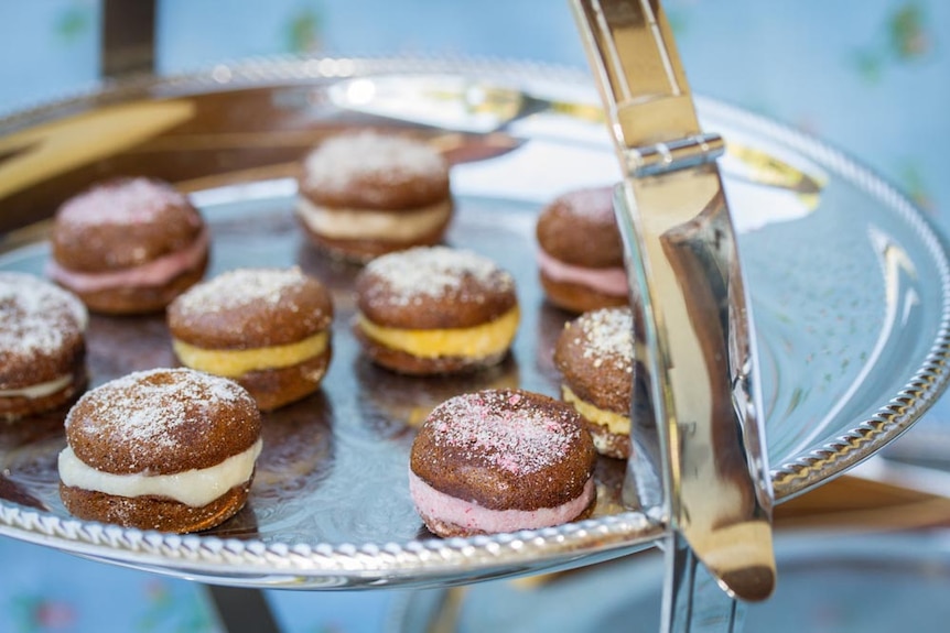 Pictured are macaroons made specifically for dogs.