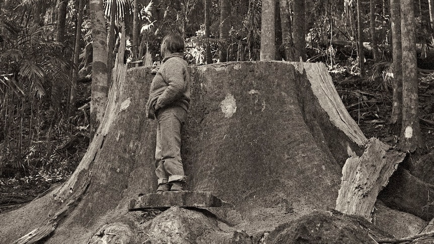 A black and white photo of a man standing next to a large tree stump that has been logged.