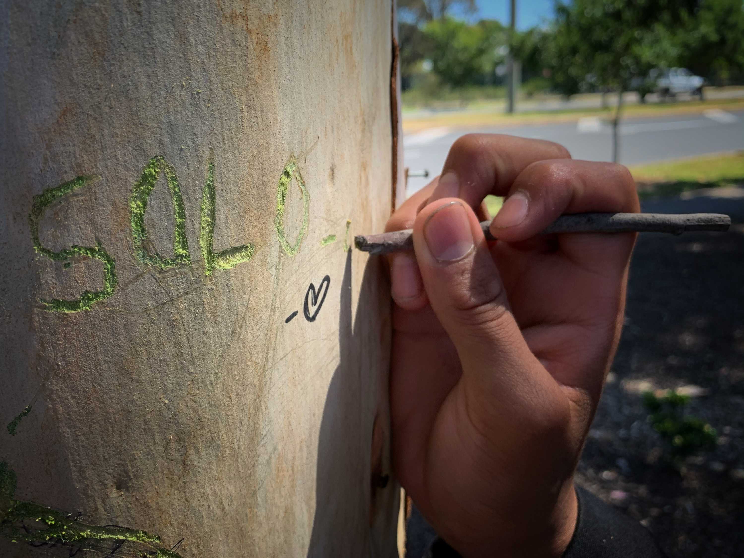 The name 'Solomone' is written in black sharpie on a tree.