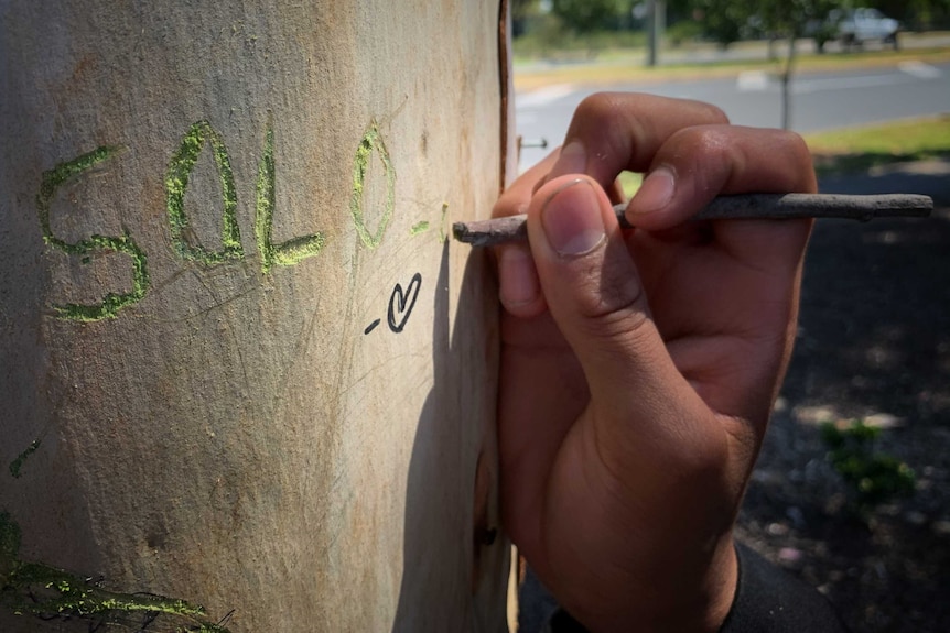 The name 'Solomone' is written in black sharpie on a tree.